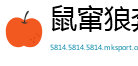 鼠窜狼奔网